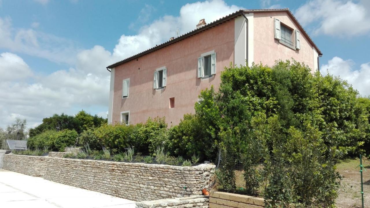 Agriturismo Casale Bonaparte Cellere Exterior photo