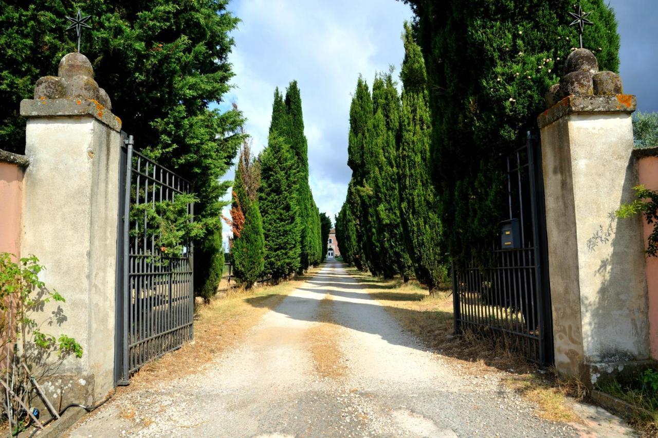 Agriturismo Casale Bonaparte Cellere Exterior photo